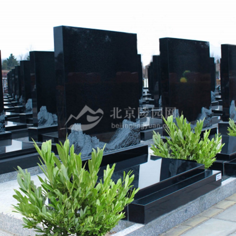 海棠苑叁区山河黑 海棠苑叁区山河黑