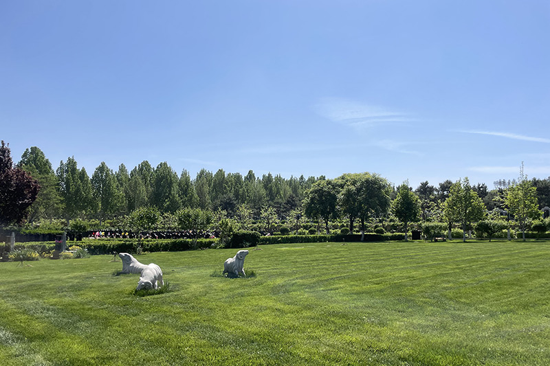 园区绿化 园区绿化