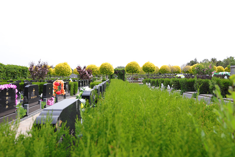 中华永久陵园环境 中华永久陵园环境