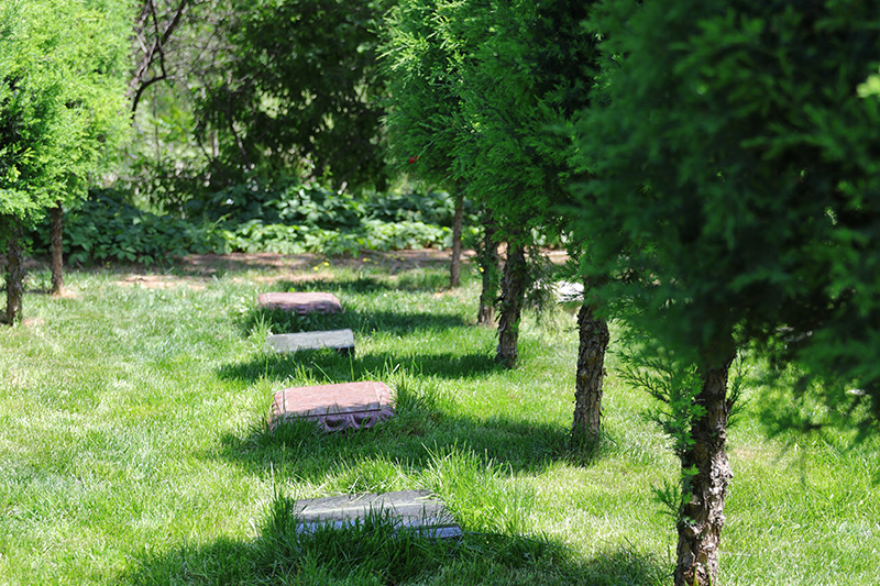 灵山宝塔陵园树葬区 灵山宝塔陵园树葬区