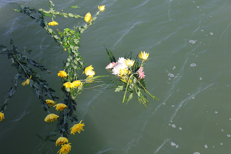 魂归大海 魂归大海