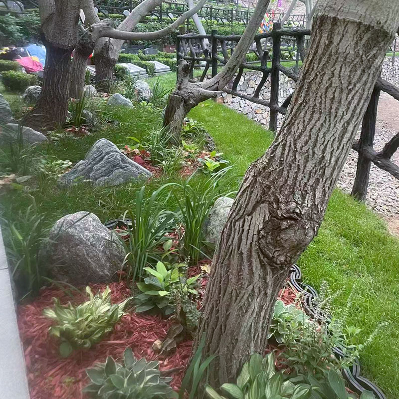 九公山单穴生态葬