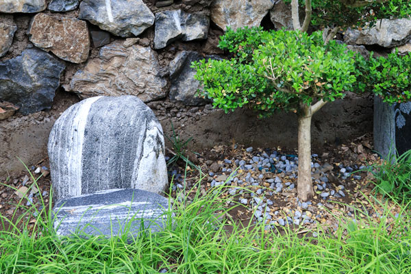 以树为碑，让爱在自然中长眠-李女士为已故丈夫选择九公山长城纪念林的树葬