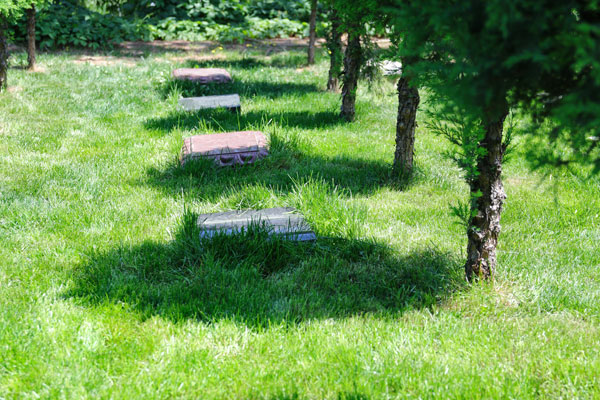 遵父遗愿选生态葬 灵山宝塔陵园安心的选墓之旅