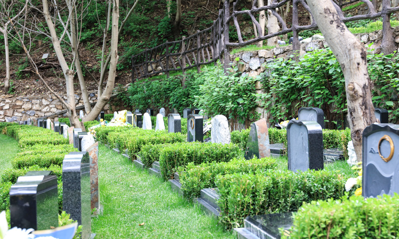 九公山福泽园墓区环境实拍