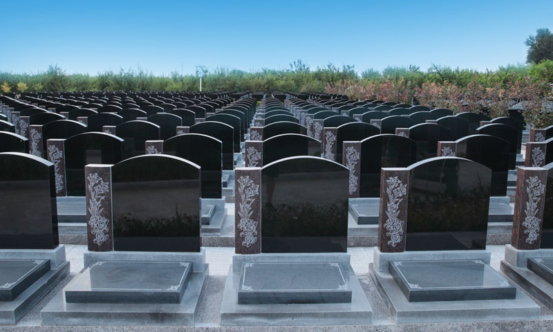 施孝园义安苑86000元墓型-目前有优惠 施孝园义安苑86000元墓型-目前有优惠