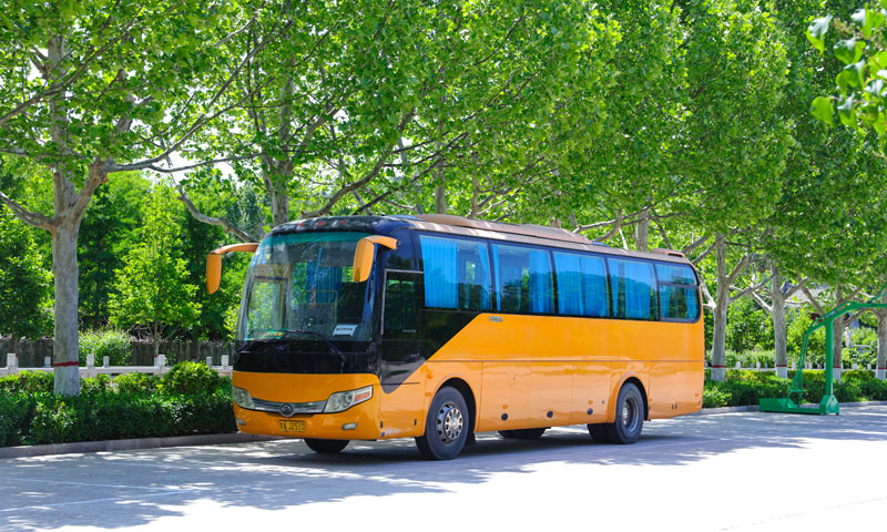 灵山宝塔陵园祭扫班车 灵山宝塔陵园祭扫班车