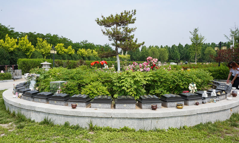 施孝园生态葬