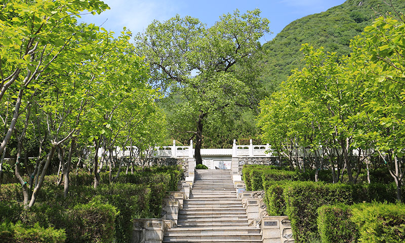 夏日九公山陵园风光