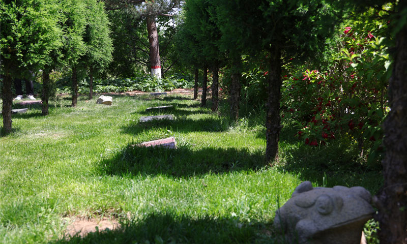 灵山宝塔陵园如意园树葬区环境实拍