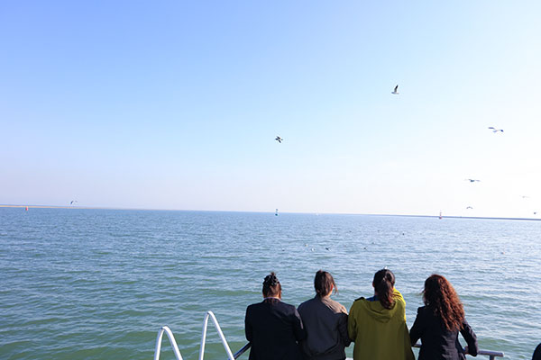 2026年北京一对一海葬怎么申请？一对一骨灰海撒的流程是怎样的？