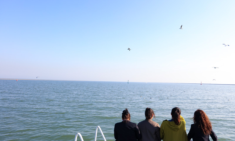 船停在骨灰海撒海面