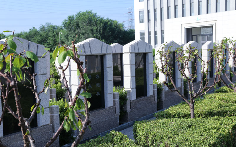 万桐园墓区环境实拍