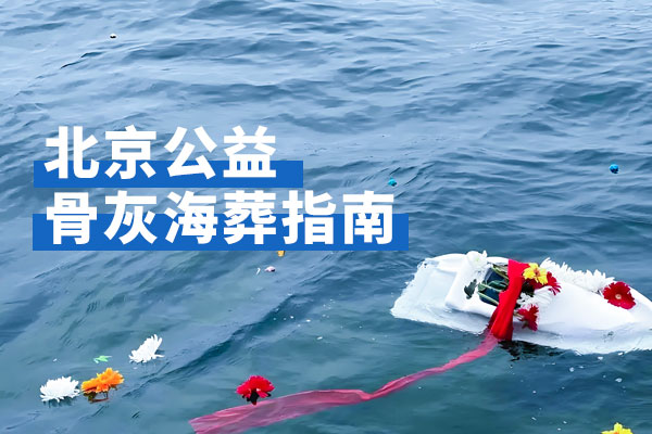 2026年北京公益骨灰海葬指南,有海撒需求家属请惠存