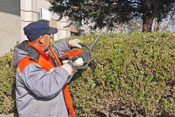 精细修剪护绿植 美化环境慰哀思——北京市潮白陵园开展树枝修剪美化工作