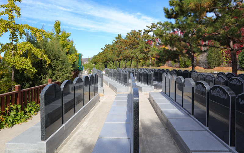 灵山宝塔陵园福泽园高性价比墓型实拍