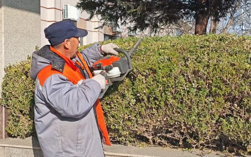 潮白陵园维护工正精细修剪绿植中 潮白陵园维护工正精细修剪绿植中