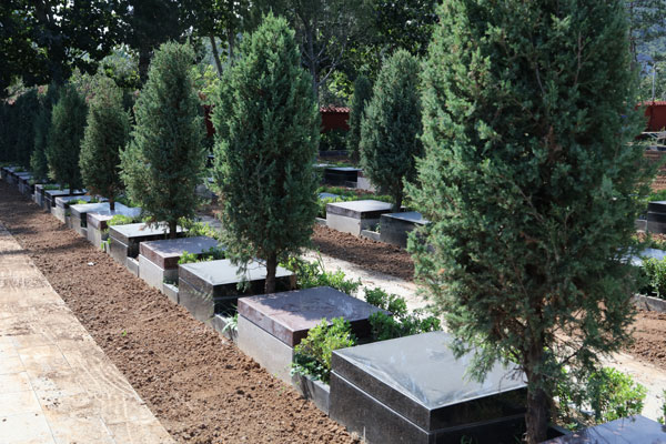 北京丰台区房山区旁的生态树葬优选地，整体花费不到2万