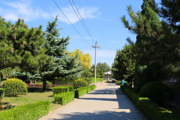 海淀区墓地长安园骨灰林允许烧纸吗？