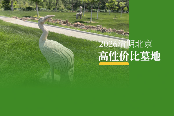 避坑！2026清明节北京高性价比墓地推荐，老百姓买得起的好墓都在这