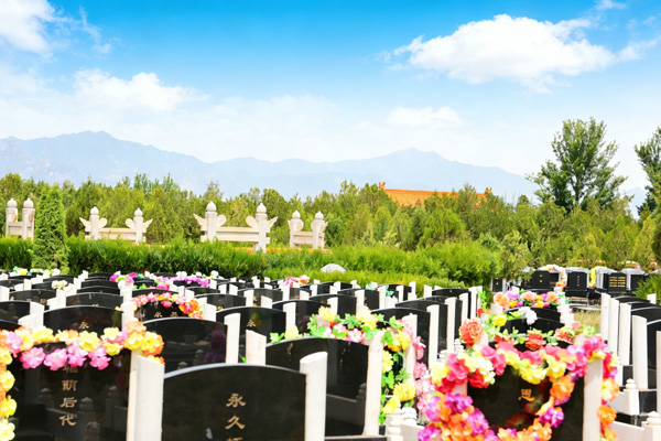 倡导文明祭扫新风尚，中华永久陵园推出绿色清明系列服务