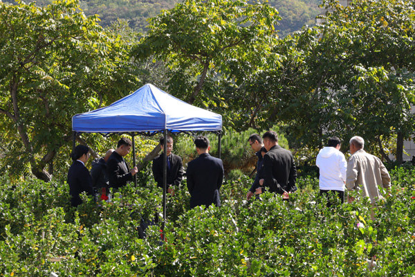 北京合法陵园后期有哪些服务？一文全解析，家属无需费心