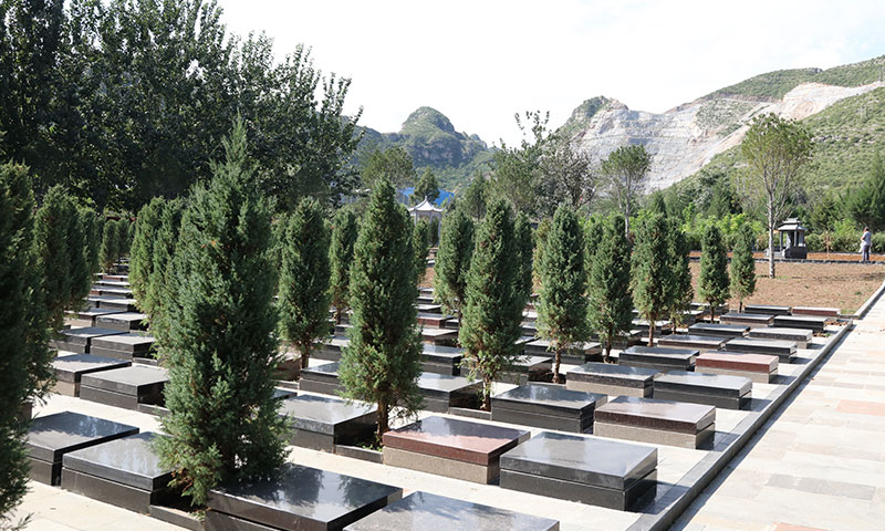 陵园树葬区环境实拍