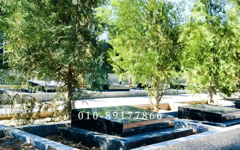 中华永久陵园双穴带卧碑树葬