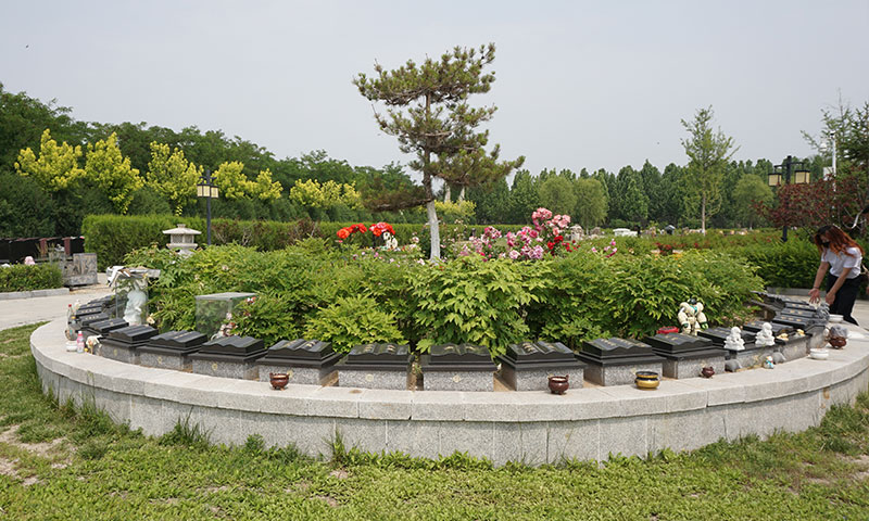 施孝园生态葬