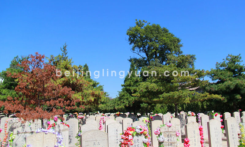 北京朝阳陵园墓区环境实拍图