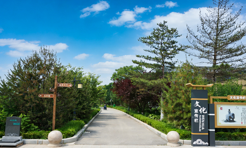 园区环境优美 道路也是非常平坦的