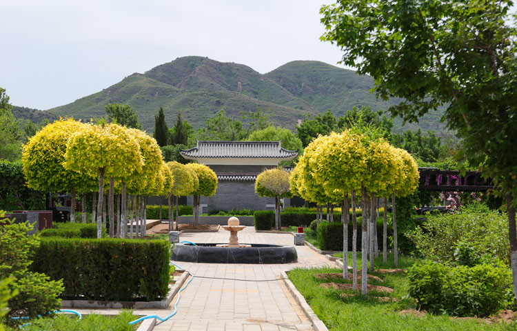 中华永久陵园环境 中华永久陵园环境