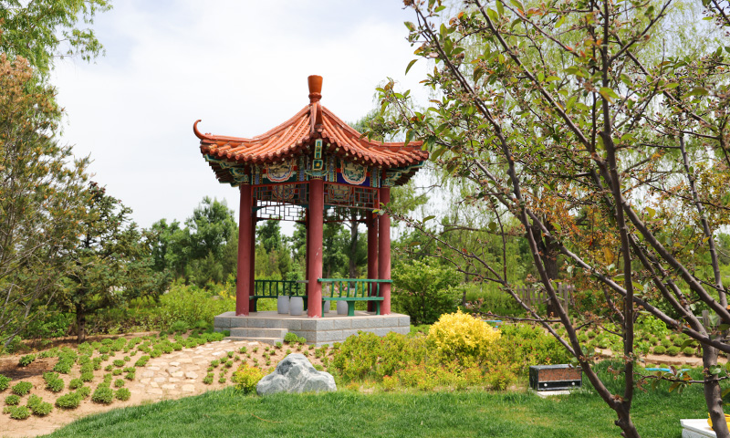 树葬陵园的一角 陵园环境优美 服务优质 树葬陵园的一角 陵园环境优美 服务优质