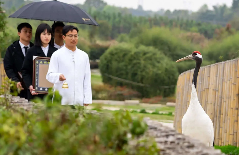 安葬仪式(图片仅供参考) 安葬仪式(图片仅供参考)