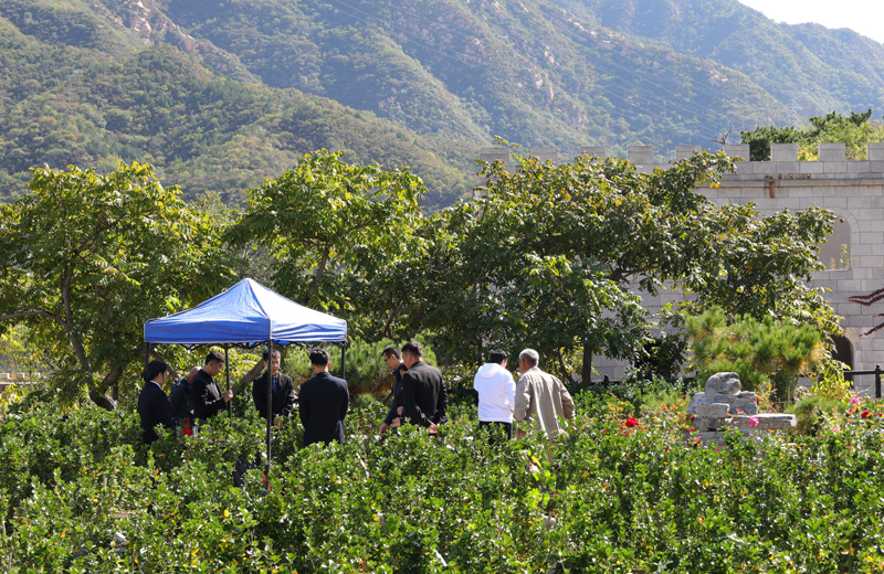 骨灰下葬仪式(图片仅供参考) 骨灰下葬仪式(图片仅供参考)