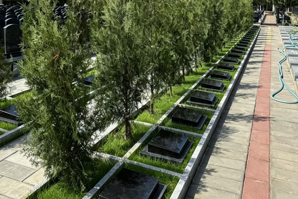 北京树葬怎么选？昌平北中华永久陵园凭实力获家属首选
