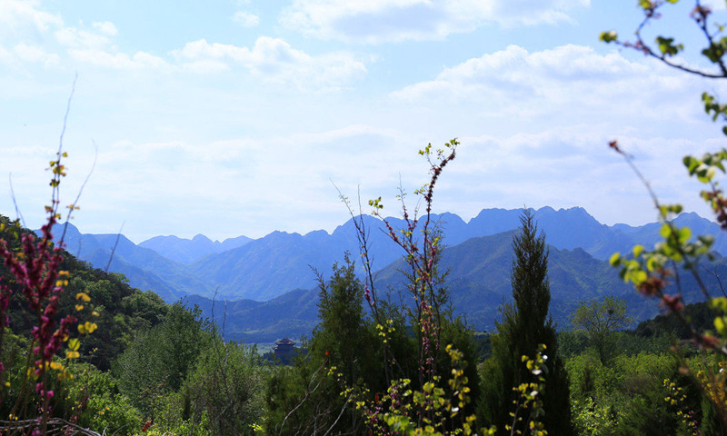 景仰园陵园景观