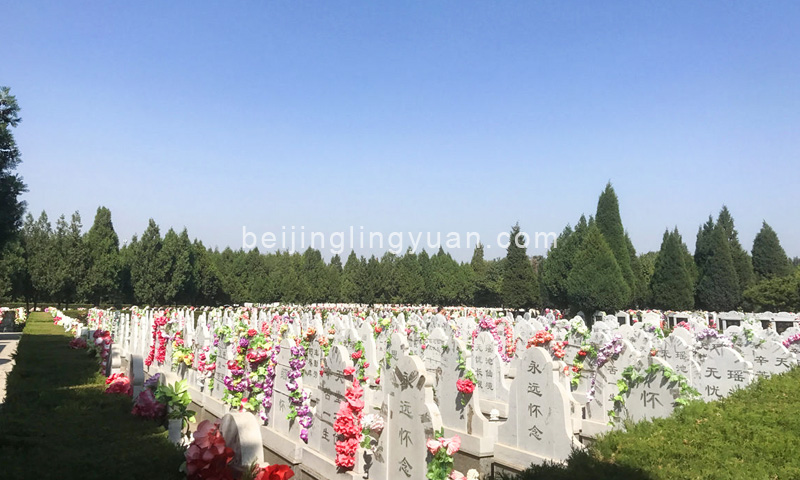 大兴天堂公墓墓区实拍 大兴天堂公墓墓区实拍