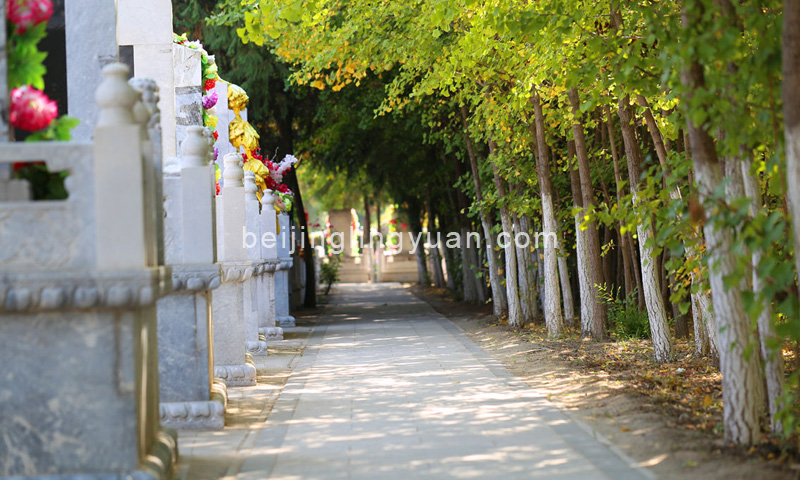 大兴区天堂公墓墓区道路 大兴区天堂公墓墓区道路