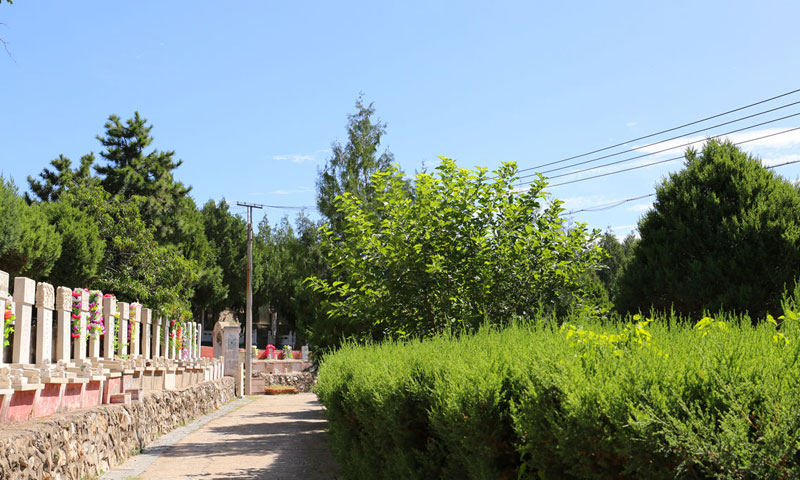 炎黄陵园墓区道路环境