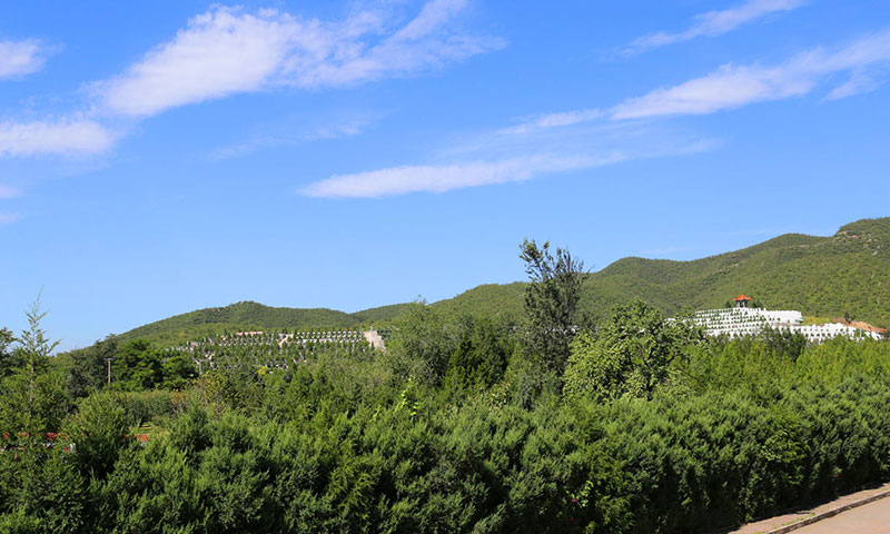 远眺炎黄陵园墓区