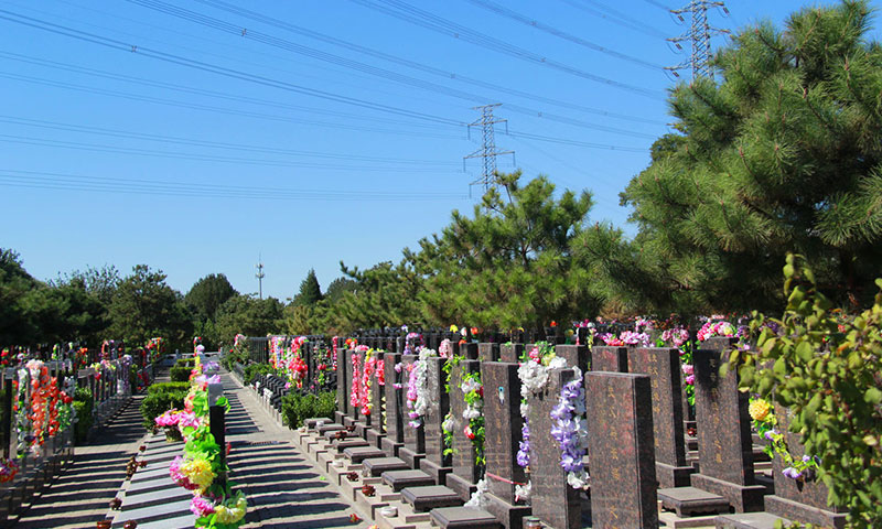 朝阳陵园墓区环境.jpg