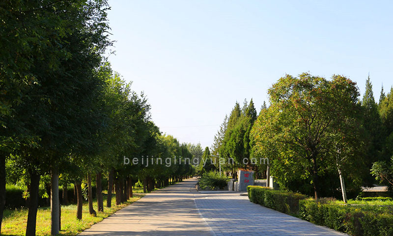 太子峪陵园道路景观