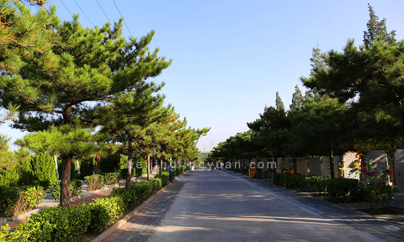 丰台太子峪陵园墓区环境