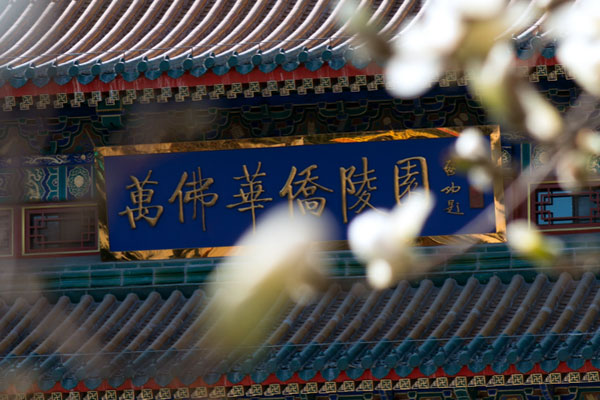 门头沟墓地万佛华侨陵园目前有哪些墓型，价格大概多少钱？