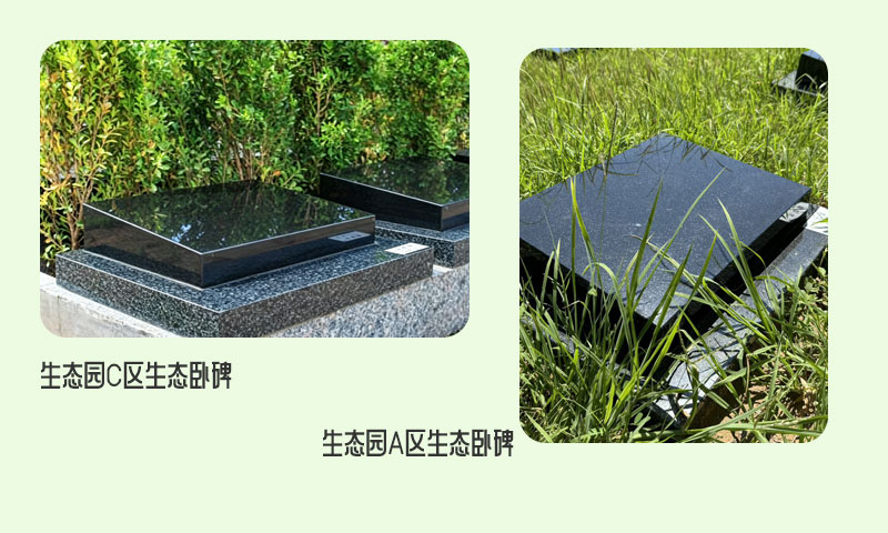 中华永久陵园生态卧碑