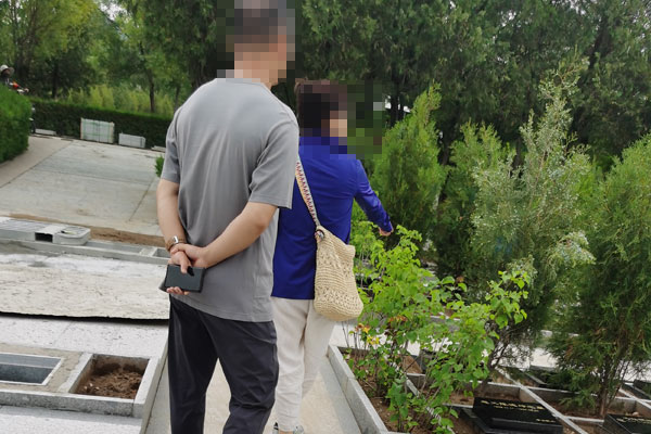 预算亲民、环境治愈！任女士为母亲安家，优选中华永久陵园生态树葬