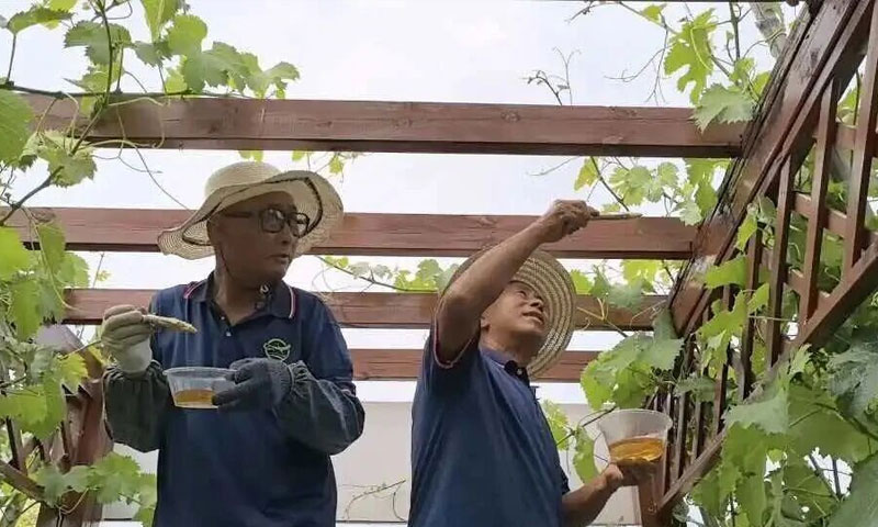刷漆维护 刷漆维护
