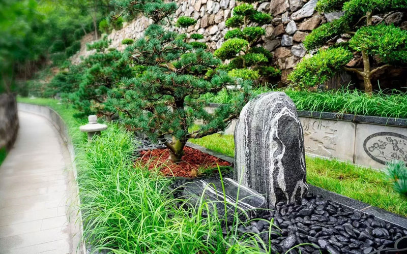 精致的生态树葬，一树一碑