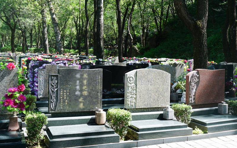 八达岭陵园墓区环境实拍 八达岭陵园墓区环境实拍